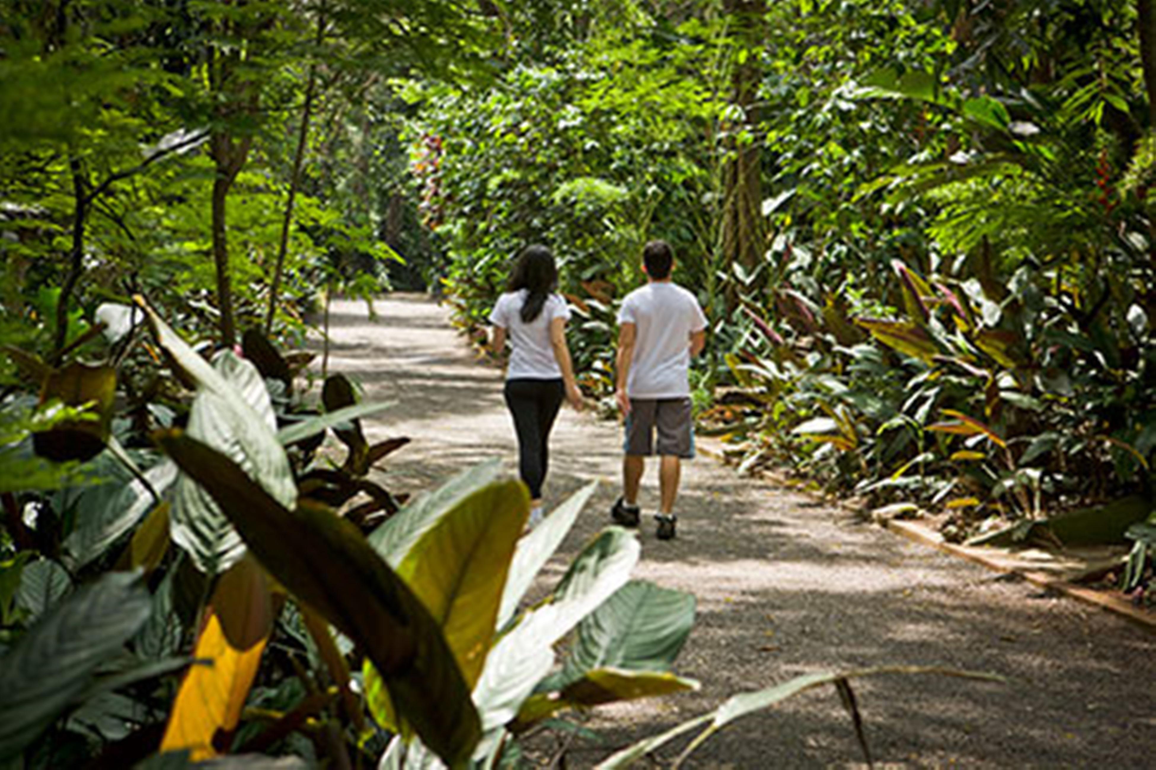 Bourbon Thermas Eco Resort Cataratas Do Iguacu Foz do Iguacu Exterior photo Visitors walking through the park